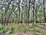 43 Rivermist Rd Road - Photo 10