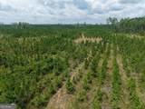 TRACT 5 Owens Ferry Rd - Photo 12