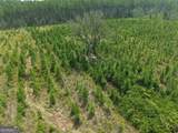 TRACT 5 Owens Ferry Rd - Photo 13