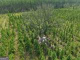 TRACT 5 Owens Ferry Rd - Photo 14