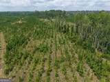 TRACT 5 Owens Ferry Rd - Photo 15