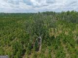 TRACT 5 Owens Ferry Rd - Photo 16
