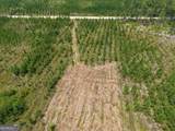 TRACT 5 Owens Ferry Rd - Photo 18