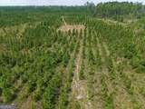 TRACT 5 Owens Ferry Rd - Photo 19