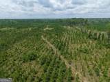 TRACT 5 Owens Ferry Rd - Photo 20
