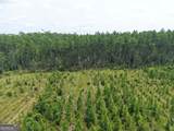 TRACT 5 Owens Ferry Rd - Photo 22