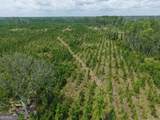 TRACT 5 Owens Ferry Rd - Photo 3