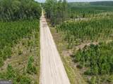 TRACT 5 Owens Ferry Rd - Photo 30