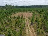 TRACT 5 Owens Ferry Rd - Photo 35