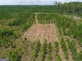 TRACT 5 Owens Ferry Rd - Photo 6