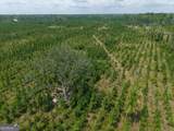 TRACT 5 Owens Ferry Rd - Photo 9