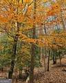 5 Goldmine Road - Photo 6