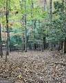 5 Goldmine Road - Photo 7