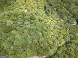 LOT 24 Possum Poke Road - Photo 32