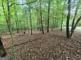 LOT 24 Possum Poke Road - Photo 6
