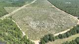 0 Mt. Horeb Church Road - Photo 1