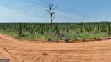 0 Mt. Horeb Church Road - Photo 10