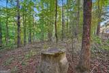0 Locust Road - Photo 2