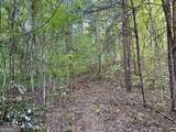 0 Piedmont Mountain Road - Photo 11