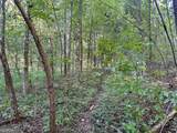 0 Piedmont Mountain Road - Photo 12