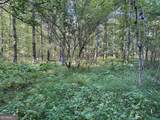 0 Piedmont Mountain Road - Photo 13