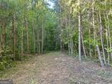 0 Piedmont Mountain Road - Photo 5