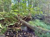 0 Piedmont Mountain Road - Photo 7