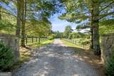 89 Spring Camp Road - Photo 14