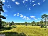 1721 Hwy 49 - Photo 1