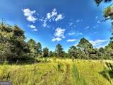 1721 Hwy 49 - Photo 10