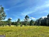 1721 Hwy 49 - Photo 15