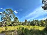 1721 Hwy 49 - Photo 16