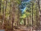 1721 Hwy 49 - Photo 21