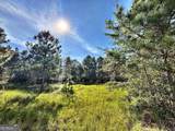 1721 Hwy 49 - Photo 29