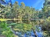 1721 Hwy 49 - Photo 32