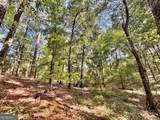 1721 Hwy 49 - Photo 4