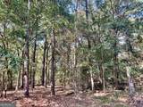 1721 Hwy 49 - Photo 8