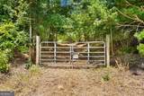 3272 Dixon Mccall Road - Photo 1