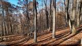LOT 11 Mountainside Drive - Photo 1
