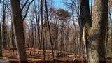LOT 11 Mountainside Drive - Photo 4