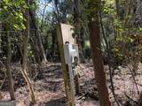 0 Brooks Road - Photo 10