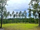 592 Arnold Caldwell Road - Photo 3