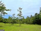 592 Arnold Caldwell Road - Photo 39