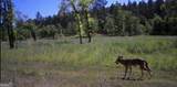 592 Arnold Caldwell Road - Photo 59