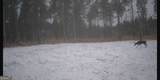 592 Arnold Caldwell Road - Photo 66