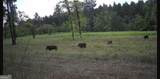 592 Arnold Caldwell Road - Photo 70
