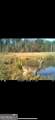 92 Lillian Strong Road - Photo 100