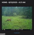 92 Lillian Strong Road - Photo 101