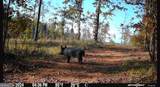 92 Lillian Strong Road - Photo 102