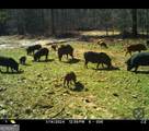 92 Lillian Strong Road - Photo 103